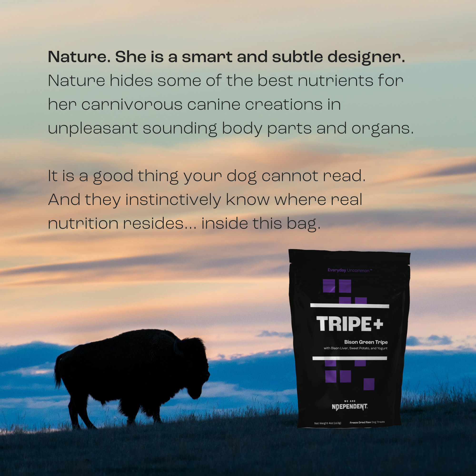 TRIPE+ Bison Green Tripe for Cats